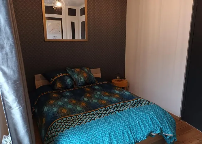 Maison Stacheul*gare/centre*wifi Holiday home